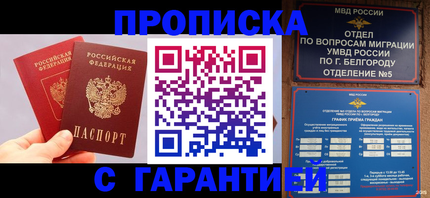 прописка 2025 в Камешково